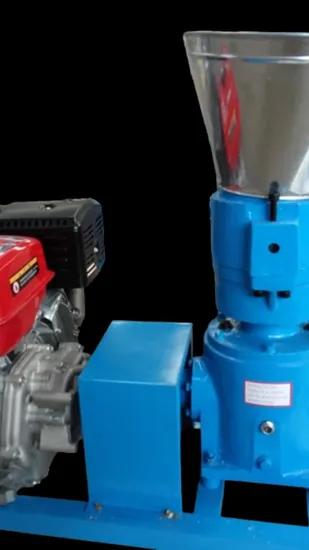 Home Use Best Price Pelletizer Machine for Animal Floating Fish Feed Mill Pellet Extruder Machine